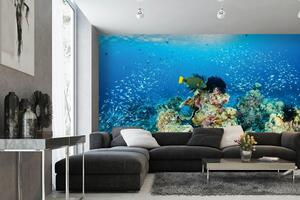 Samolepiaca vliesová fototapeta Koralový útes 375 x 250 cm