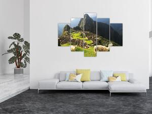 Obraz - Lamy v Machu Picchu (150x105 cm)