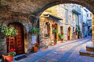 DIMEX | Vliesové fototapety na stenu Assissi Umbria MS-5-0757 | 375 x 250 cm | zelená, hnedá, šedá