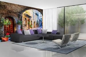Samolepiaca vliesová fototapeta Assissi Umbria 375 x 250 cm