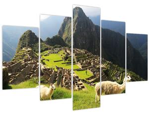 Obraz - Lamy v Machu Picchu (150x105 cm)