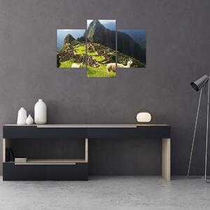 Obraz - Lamy v Machu Picchu (90x60 cm)