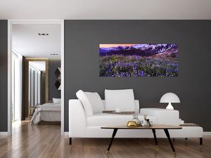 Obraz - Sopka a kvety (120x50 cm)