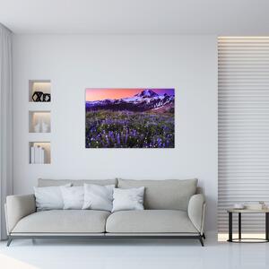 Obraz - Sopka a kvety (90x60 cm)