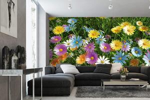 Samolepiaca vliesová fototapeta Jar 375 x 250 cm