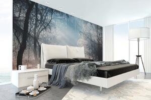 Samolepiaca vliesová fototapeta Ranná hmla v lese 375 x 250 cm