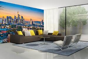 Samolepiaca vliesová fototapeta Frankfurt, Nemecko 375 x 250 cm