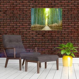 Obraz - Ulička s bambusmi (70x50 cm)