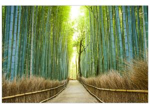 Obraz - Ulička s bambusmi (90x60 cm)