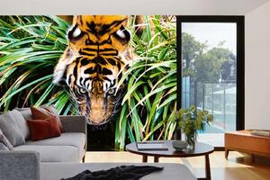Samolepiaca vliesová fototapeta Tiger pri rieke 375 x 250 cm