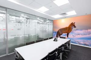 Samolepiaca vliesová fototapeta Líška v snehu 375 x 250 cm