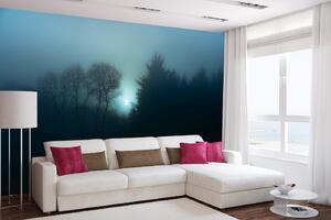 Samolepiaca vliesová fototapeta Hmlistý nočný les 375 x 250 cm