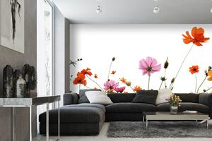 Samolepiaca vliesová fototapeta Farebné kvety 375 x 250 cm