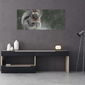 Obraz - Veverička v zime (120x50 cm)