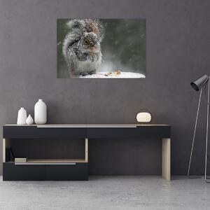 Obraz - Veverička v zime (90x60 cm)