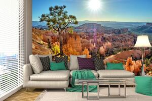 Samolepiaca vliesová fototapeta Národný park Bryce Canyon 375 x 250 cm