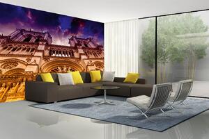 Samolepiaca vliesová fototapeta Notre Dame III. 375 x 250 cm