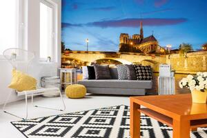 Samolepiaca vliesová fototapeta Notre-Dame III. 375 x 250 cm