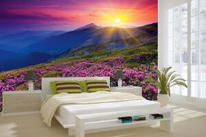 Samolepiaca vliesová fototapeta Kúzelný rododendron 375 x 250 cm