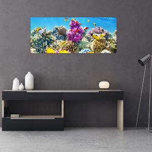 Obraz - Morský svet (120x50 cm)