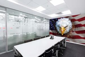Samolepiaca vliesová fototapeta Americká vlajka a orol 375 x 250 cm