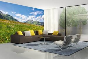 Samolepiaca vliesová fototapeta Jarná kvitnúca lúka 375 x 250 cm
