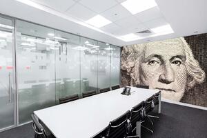Samolepiaca vliesová fototapeta Washingtonov portrét na dolári 375 x 250 cm