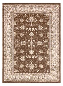 Moderný MEFE koberec 2312 Ornament, rám - Štrukturálny, dve vrstvy rúna tmavo-béžová