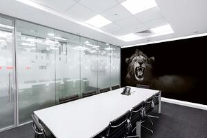Samolepiaca vliesová fototapeta Divoký lev africký 375 x 250 cm