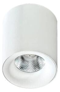 LED bodové svetlo Mane biele – Biela