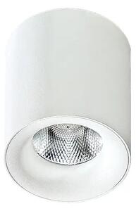 LED bodové svetlo Mane biele – Biela