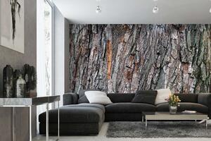 Samolepiaca vliesová fototapeta Dubová kôra 375 x 250 cm