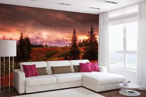 Samolepiaca vliesová fototapeta Červánky na Aljaške 375 x 250 cm