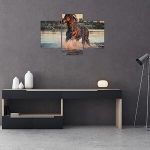 Obraz - Bežiaci kôň (90x60 cm)