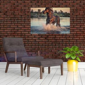 Obraz - Bežiaci kôň (90x60 cm)