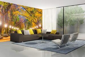 Samolepiaca vliesová fototapeta Central Park na jeseň 375 x 250 cm