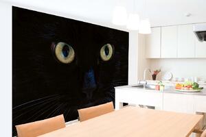 Samolepiaca vliesová fototapeta Pohľad čiernej mačky 375 x 250 cm
