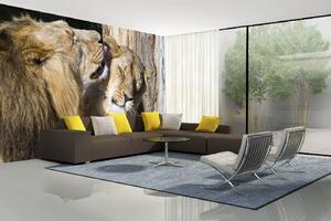 Samolepiaca vliesová fototapeta Levia láska 375 x 250 cm