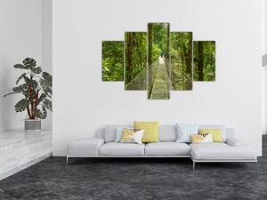 Obraz - Závesný most (150x105 cm)
