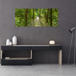 Obraz - Závesný most (120x50 cm)