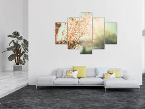 Obraz - Lúčne rastliny (150x105 cm)