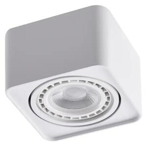 Bodové svetlo Paola 1 230V biele – Biela