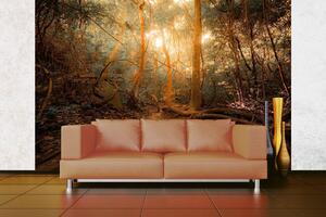 Samolepiaca vliesová fototapeta Tajomná džungľa 375 x 250 cm
