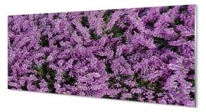 Sklenený obraz fialové kvety 140x70 cm 4 Prívesky