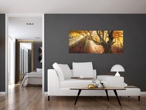 Obraz - Jesenný svit (120x50 cm)