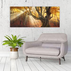 Obraz - Jesenný svit (120x50 cm)