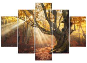 Obraz - Jesenný svit (150x105 cm)