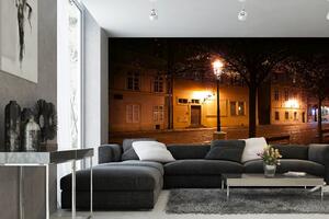 Samolepiaca vliesová fototapeta Kampa Praha 375 x 250 cm
