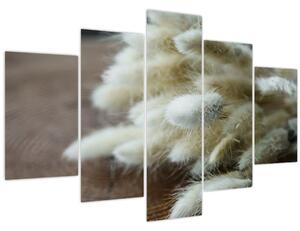 Obraz - Zajačí chvostík (150x105 cm)