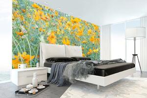 Samolepiaca vliesová fototapeta Žltá lúka 375 x 250 cm